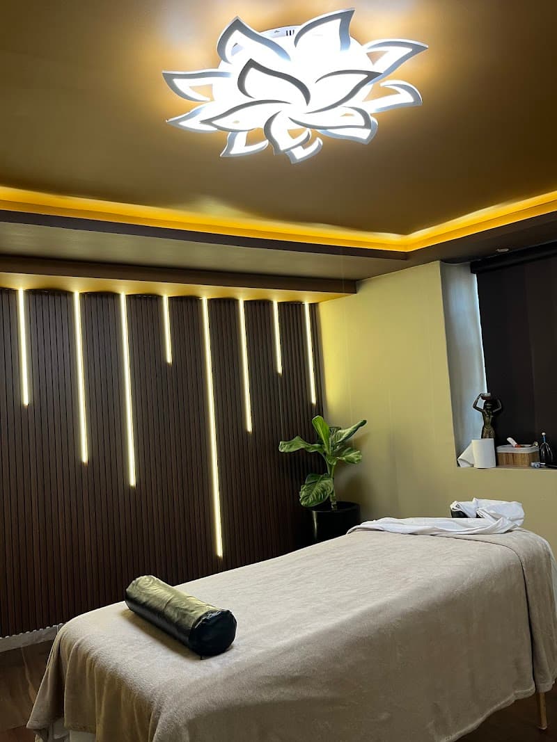 Get Spa Aeropuerto Venustiano Carranza photo