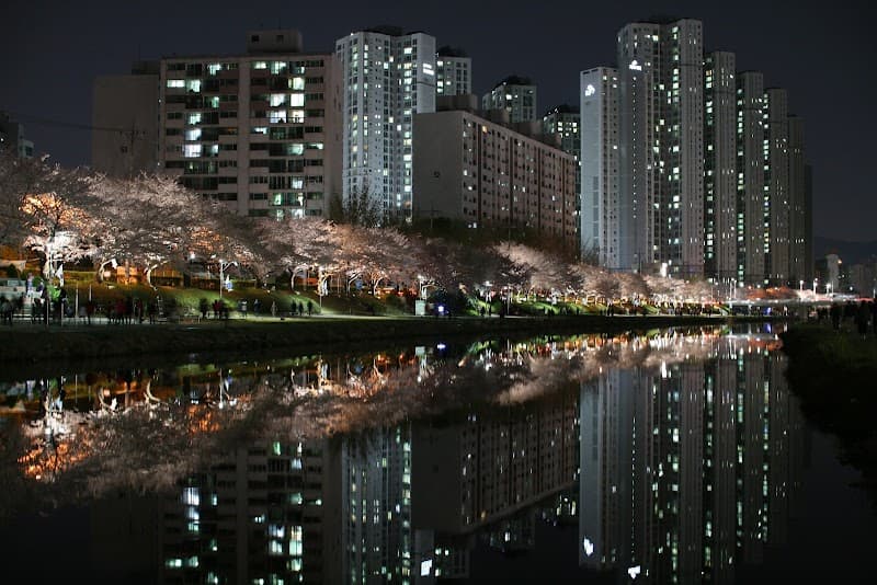 Geumcheon Park Oncheon Oncheon 1-dong photo