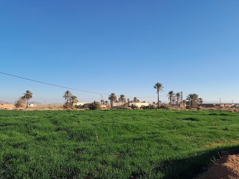 Ghazal Amman photo