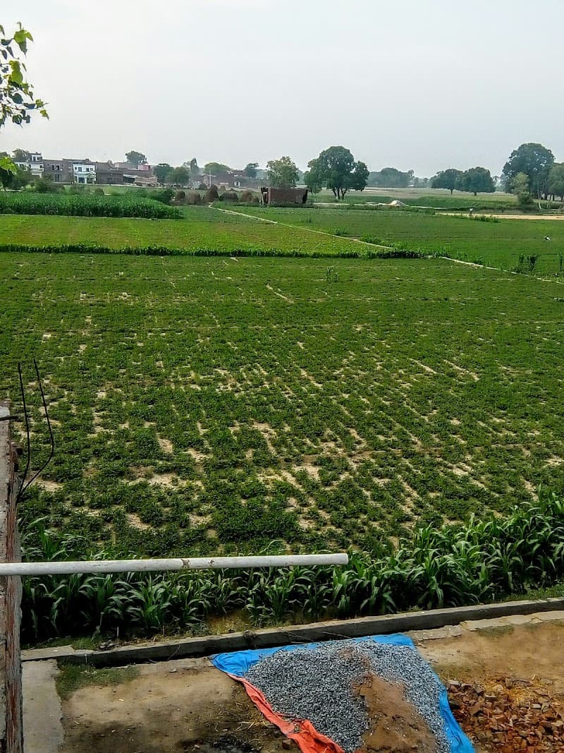Ghiror Official Mainpuri Sub-District photo