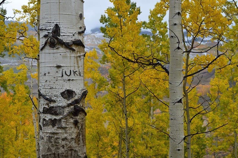 Gift Salon and Spa Woodland Park photo