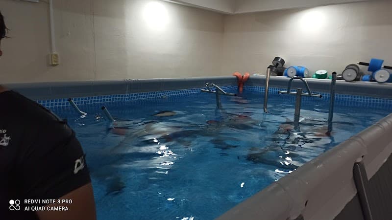 Gimnasio acuático beet há Tampico photo