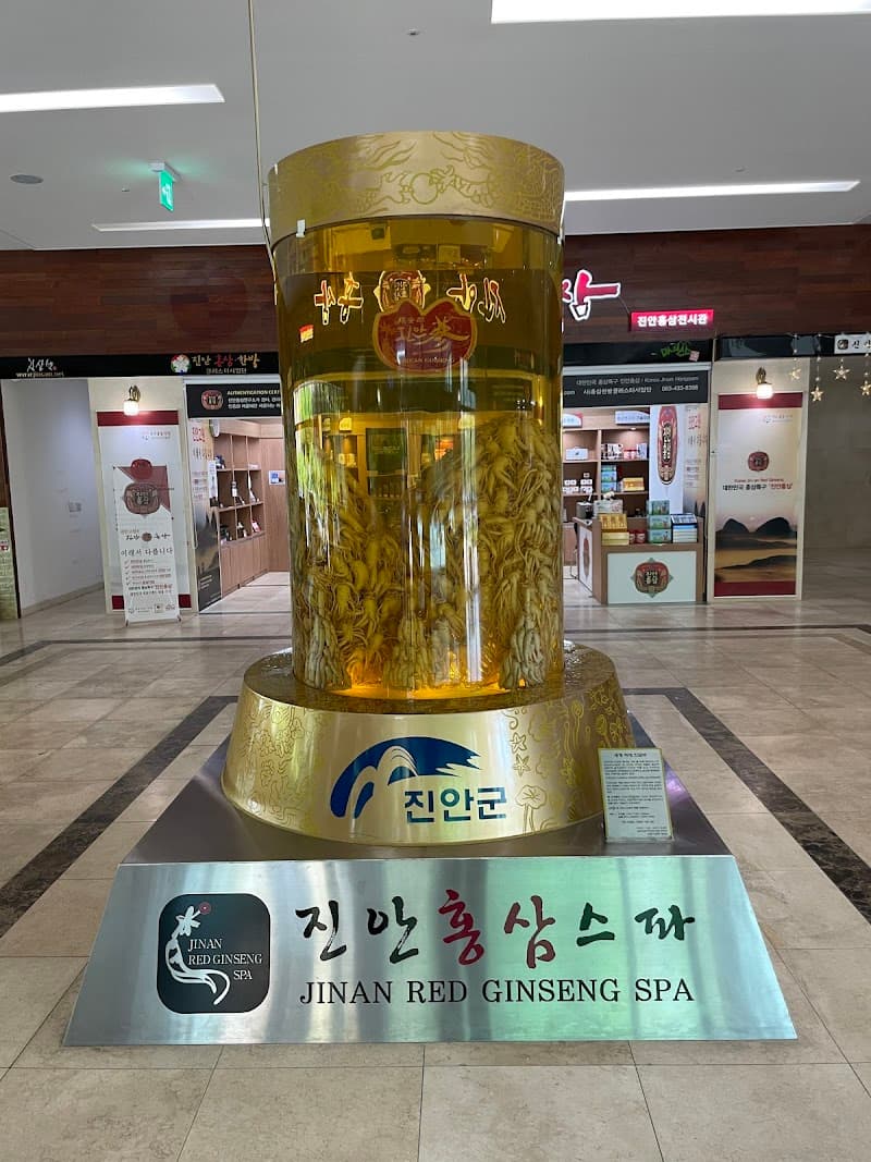 Ginseng Wellbeing Spa Jungdo-ri photo