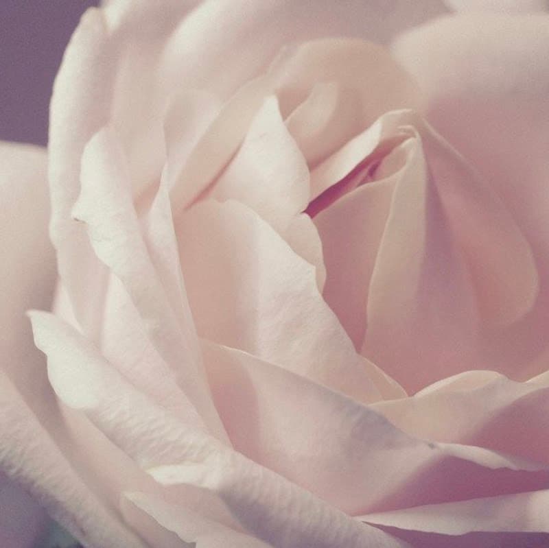 Glow by Kimber Havre photo