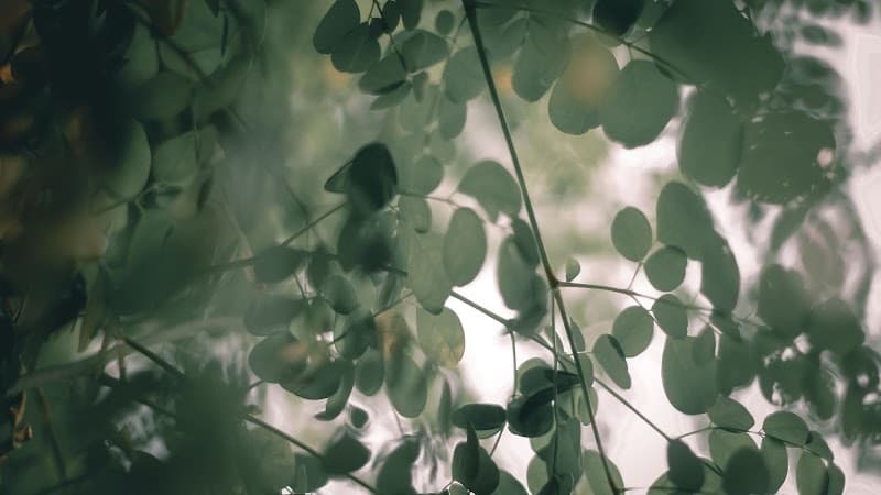 GLOW spa by Sunlife - Long Beach Mauritius Quatre Bornes Town photo