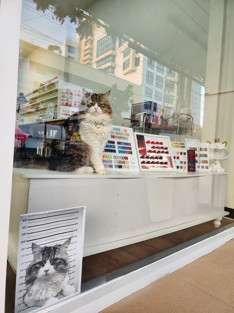 GoGoal Beauty & Spa NO.G9 photo