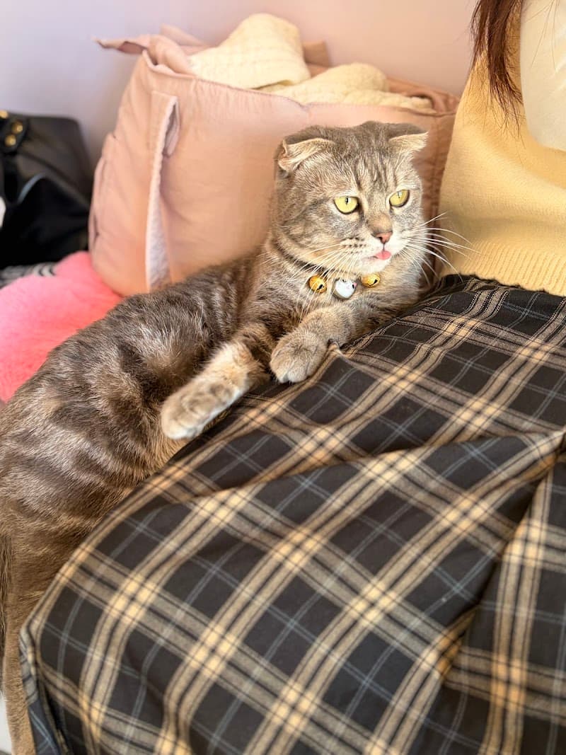 Gội đầu dưỡng xink - Tú Uyên beautyspa Đà Lạt photo