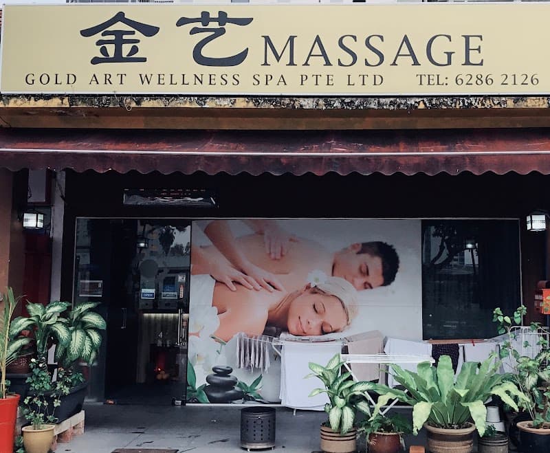 Gold Art Wellness Spa Singapore photo