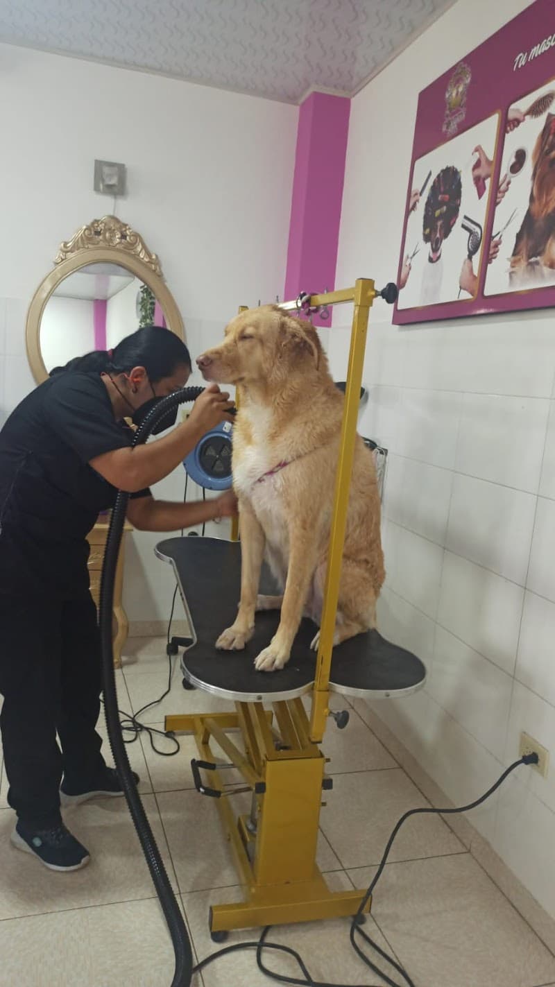 Golden Spa Funza photo