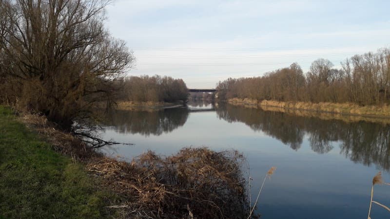 Golena Adige Legnago photo