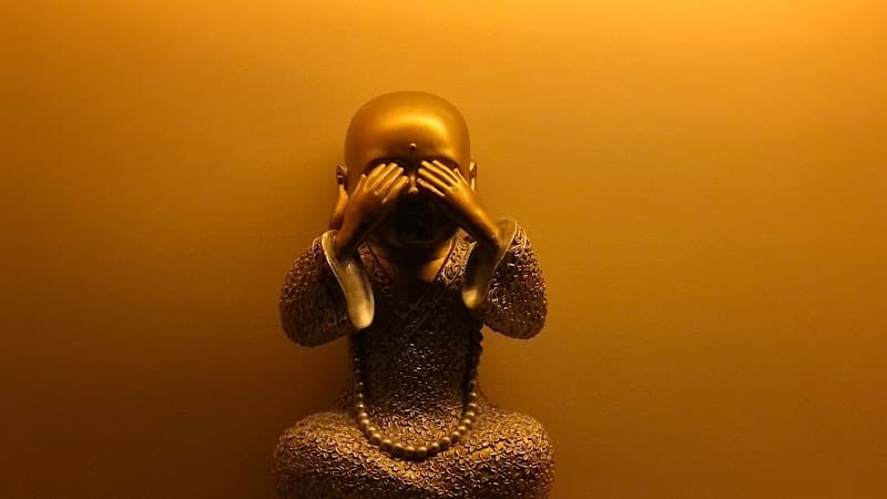 GOWPS SPA Swiss Heritage Darjeeling photo