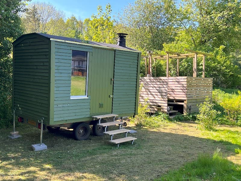 Grønnebakkens Saunagus Fjenneslev photo