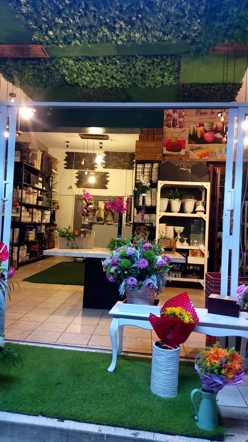 Gran Jardín SPA. León photo