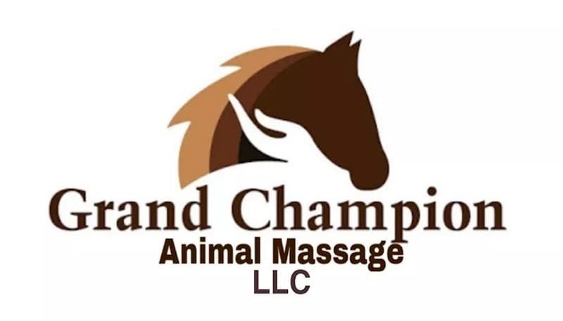 Grand Champion Animal Massage LLC Lewiston photo