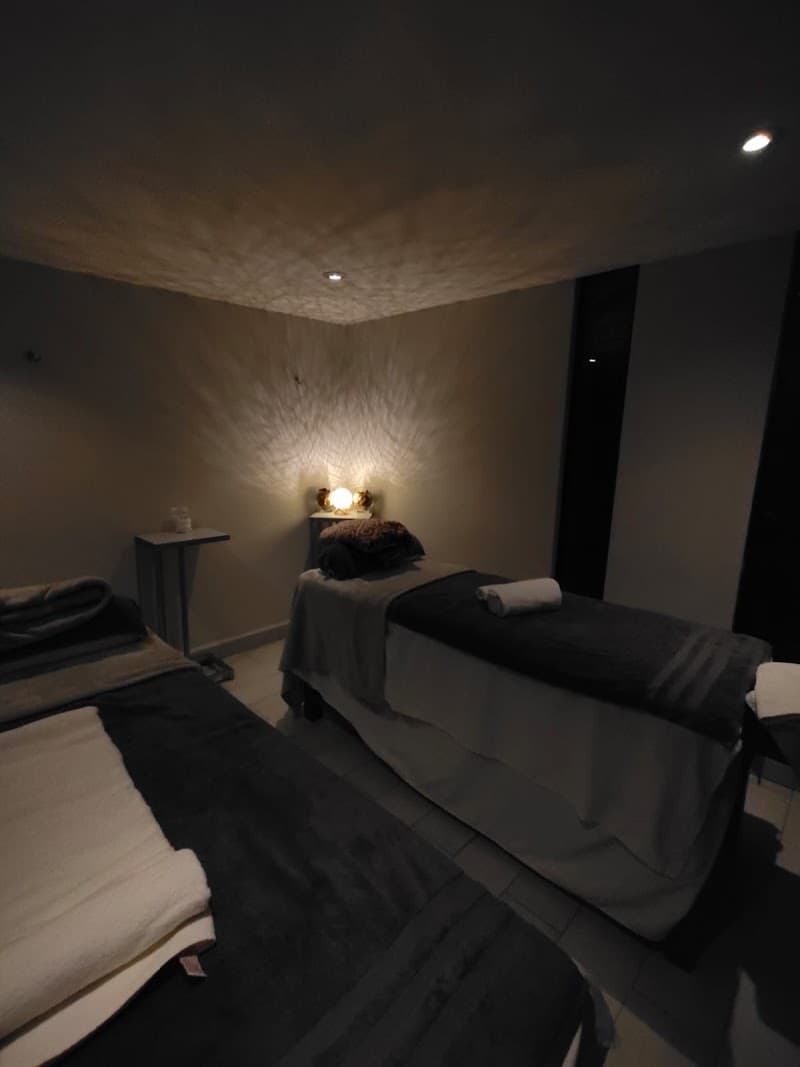 Grand Sante Spa Tampico photo
