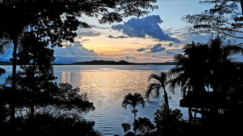 Green Acres Chocolate Farm Bocas del Toro photo