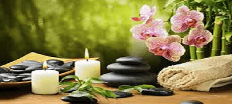 Green Apple ayurvedic center Chennai photo