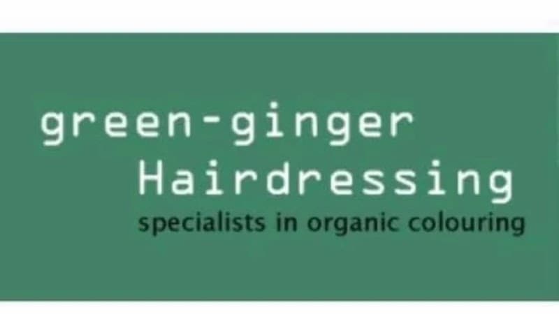 Green Ginger Hair Salon Sarasota photo