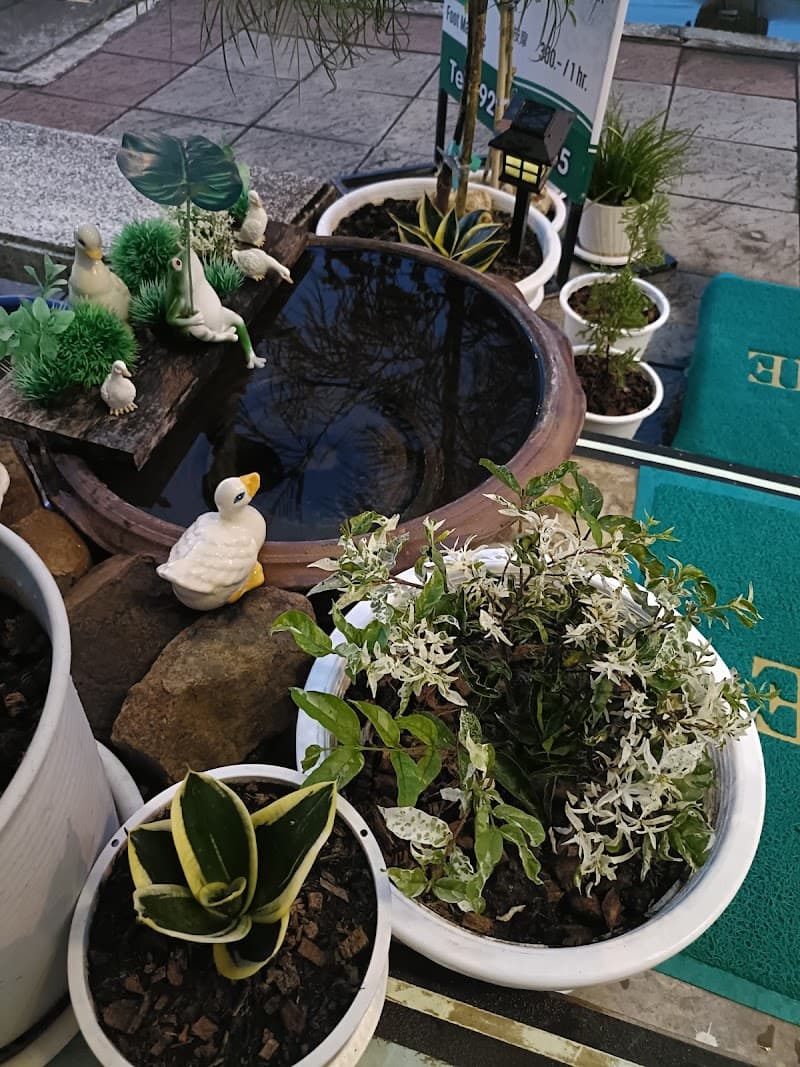 Green House health massage Phetchabun photo