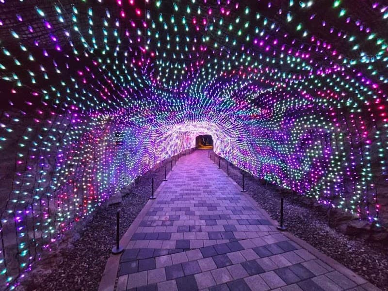 GS Watsons Gwangmyeong Gwangmyeong City photo