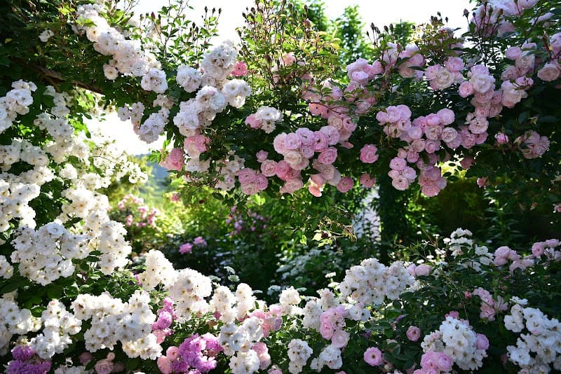 Gunma Prefecture Nakanojo Town (former Kukumura) Kyotsuka Onsen Agatsuma District, Nakanojo Town photo