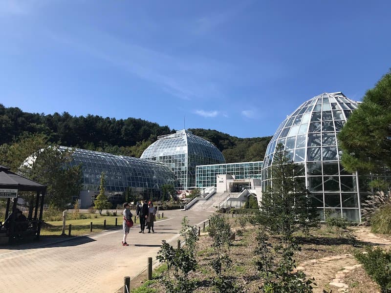 Gwangneung Forest Hwangto Charcoal Bulgama Pocheon City photo