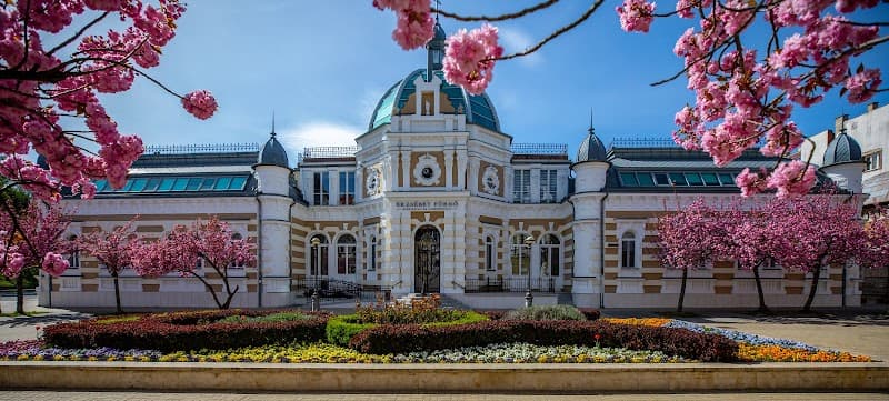 Gyogyvizek.hu Miskolc photo