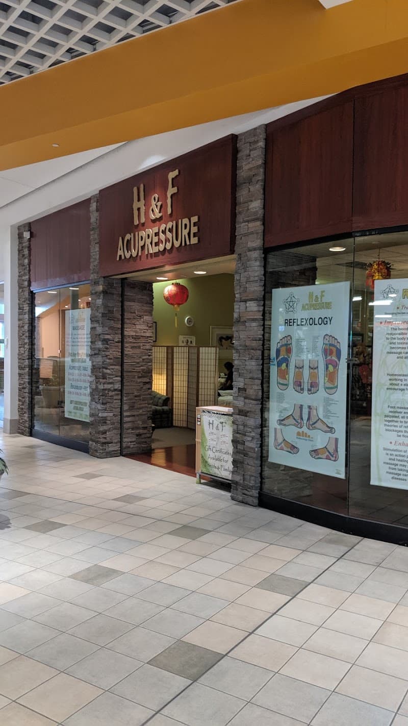 H&F Massage Okemos photo
