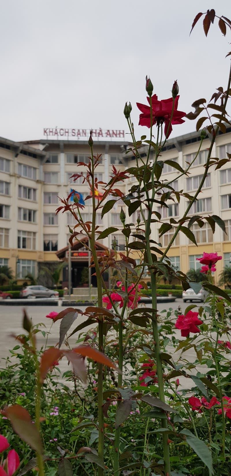 Hà Anh Latex Quận Hoàng Mai photo