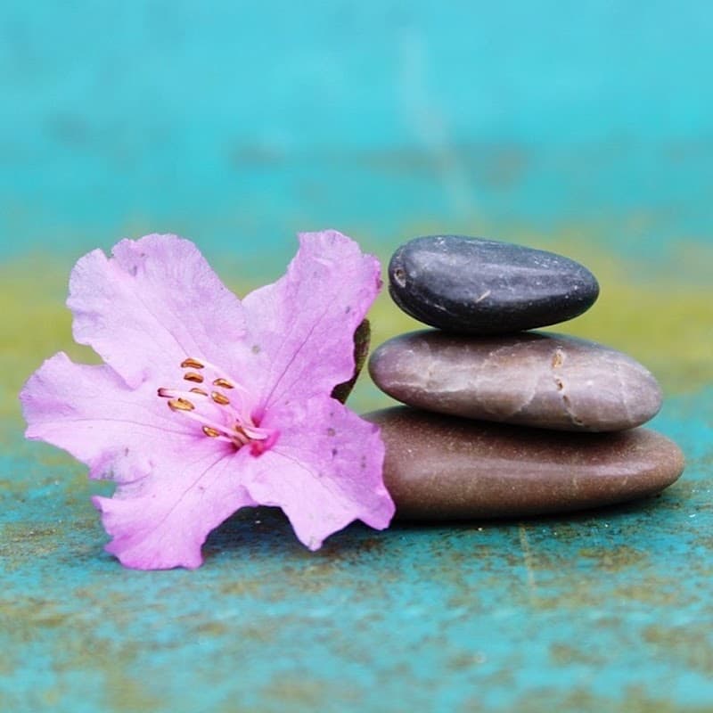 Haderslev Wellnesshus photo