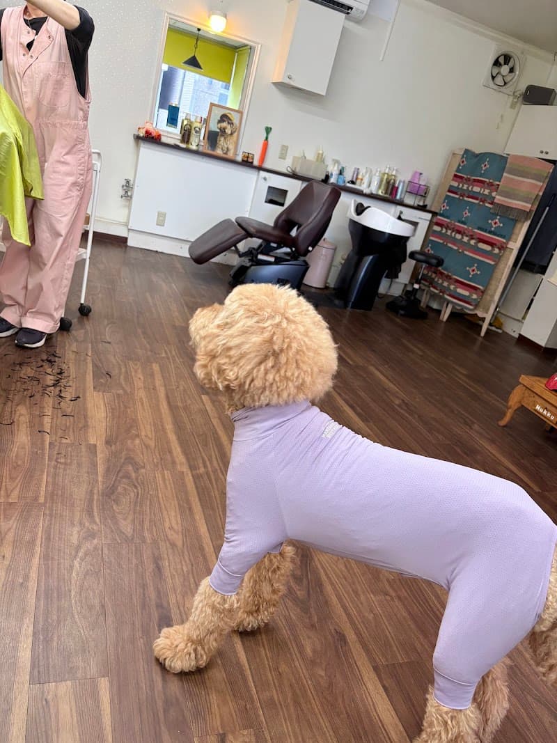 Hair Art Shop Olive Sapporo Chuo Ward photo