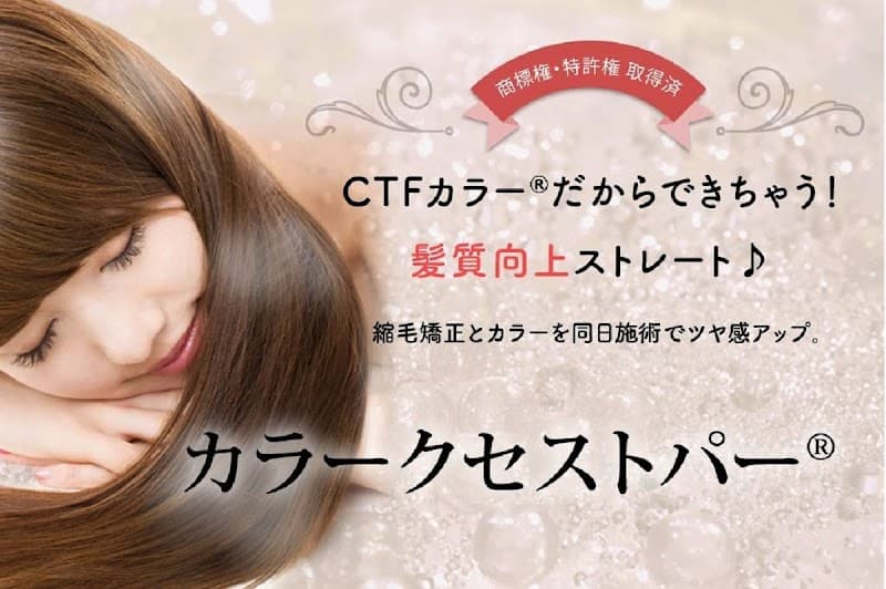 Matsue City hair pur arte photo