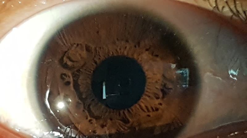 Halu Holistic Wellness Center Tuxtla Gutiérrez photo