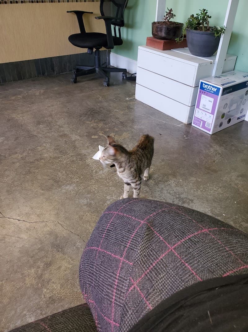 Hamilton Pet Resort & Spa West Columbia photo