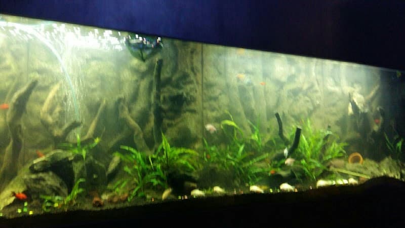 Hana Bodyworks and Post Natal Singapore photo