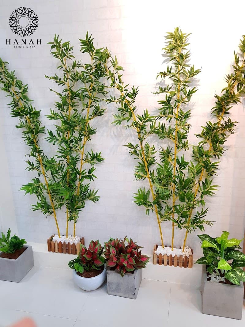 Hanah Clinic and Spa Quảng Ngãi photo