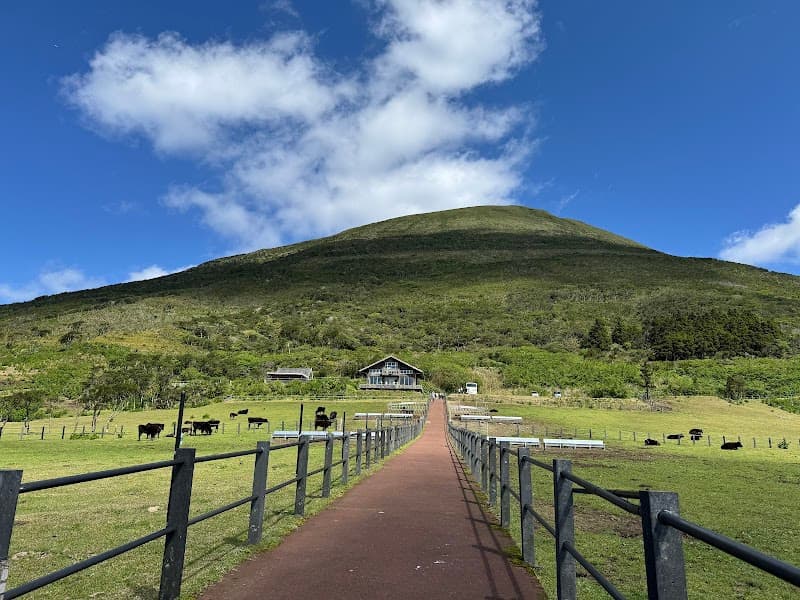 Hachijo Town hanalimapono Hanarimapono photo