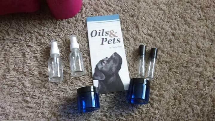 Hands Healing Hounds LLC St Cloud photo