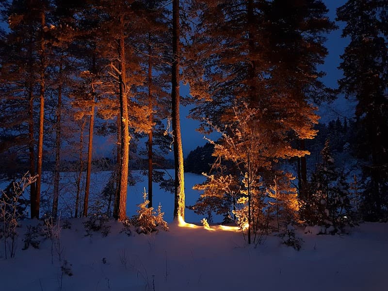 Hangaslahden sauna Tampere photo
