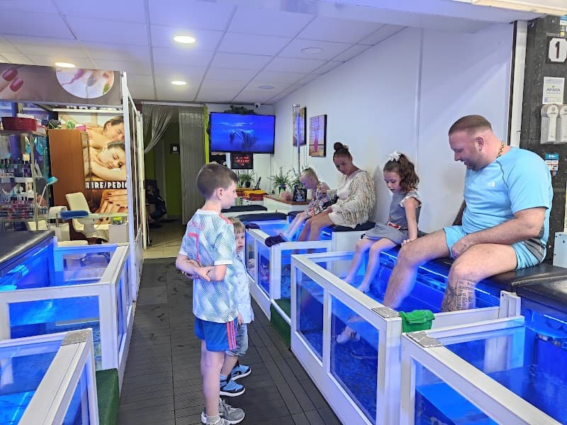 Happy Feet Fish Spa Inverness photo