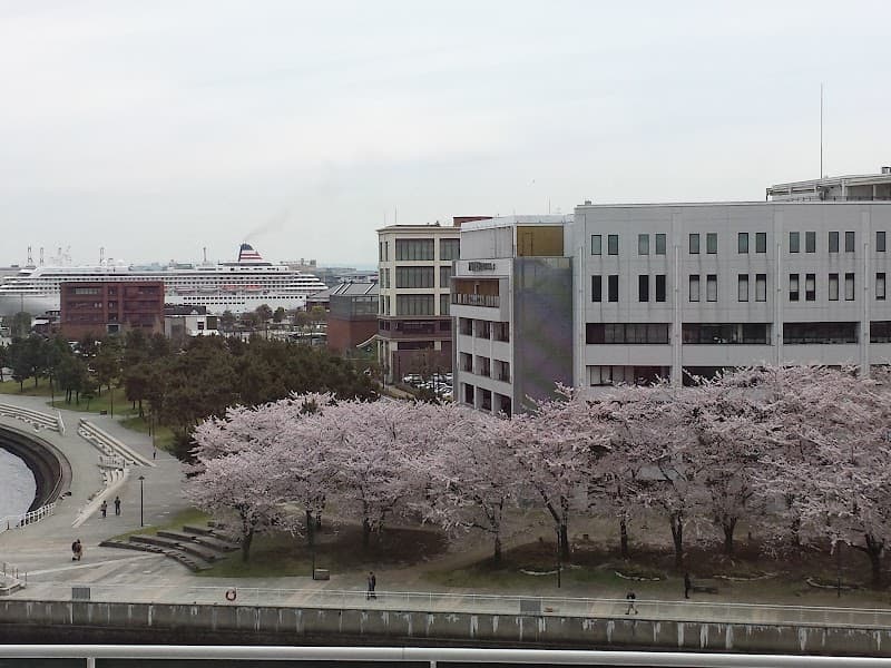 Harbor View Fitness Club Yokohama City Nishi Ward photo