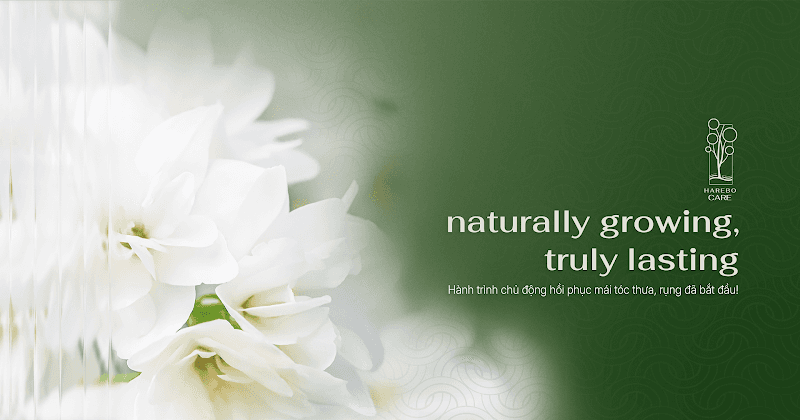 Harebo Care - Trung tâm Chăm sóc Tóc thưa, rụng Quận Hai Bà Trưng photo