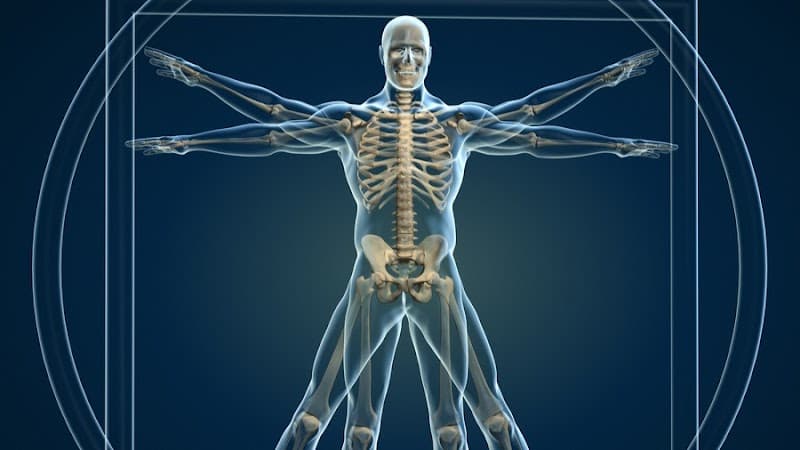 Hargita Gábor - gyógymasszőr,csontkovács manuálterapeuta Budapest photo