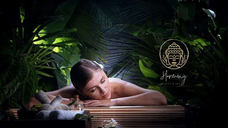 Harmonie Spa/CDCH Miguel Hidalgo photo