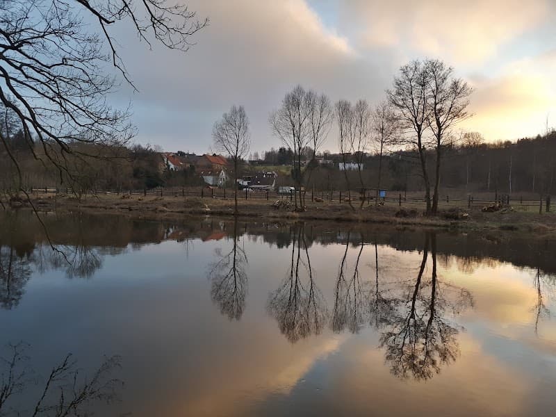Harmonizační a regenerační centrum PLZEŇ Plzeň photo