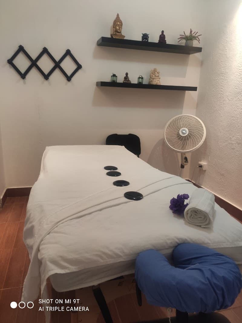 Harmony Confort Spa Santiago de Querétaro photo