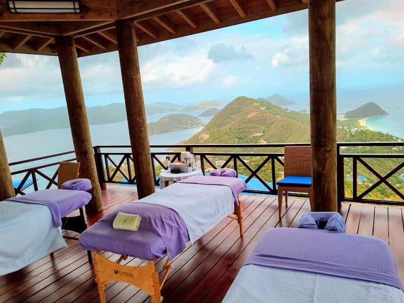 Harmony Luxury Mobile Spa Bvi Virgin Gorda photo