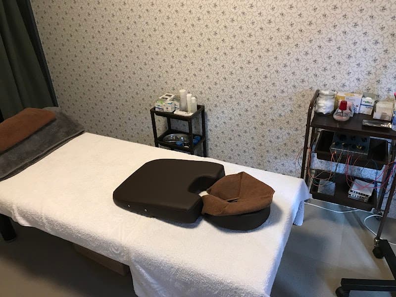 Harry's Acupuncture and Osteopathic Clinic Koriyama photo