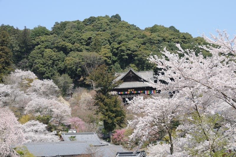 Hasedera Onsen Sakurai City photo