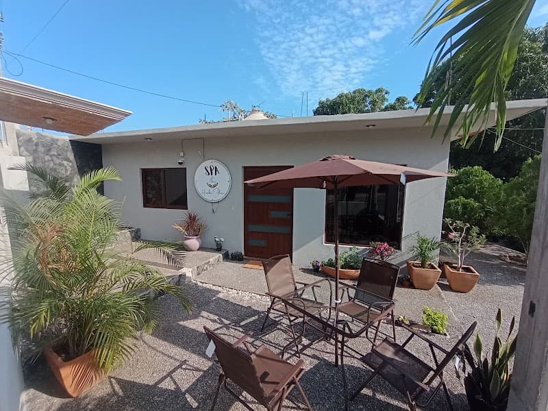 Hasibe Flores SPA San Pedro Mixtepec - Distr 22 - photo